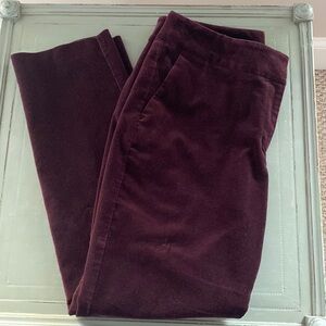 ANN TAYLOR Factory Burgundy Velvet Pants